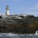 lighthouse_island_seal_machias_h_2260_can1378.jpg